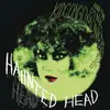 KID CONGO & PINK MONKEY BIRDS – haunted head (CD)