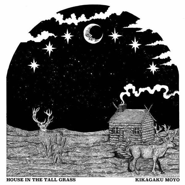 KIKAGAKU MOYO – house in the tall grass (LP Vinyl)