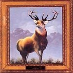 KILLDOZER – 12 point buck (CD)