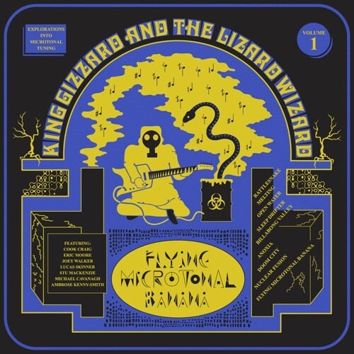 KING GIZZARD & THE LIZARD WIZARD – flying microtonal banana (CD)