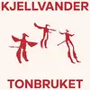 KJELLVANDERTONBRUKET – fossils (CD, LP Vinyl)