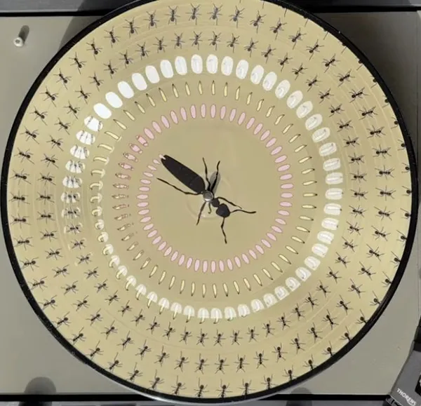 KNOCHENFABRIK – ameisenstaat (CD, LP Vinyl)