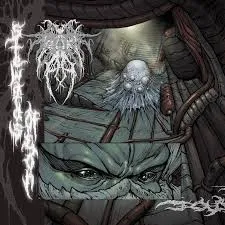 KOLLEKTIV RAUMORDNUNG – stewards of eon (LP Vinyl)