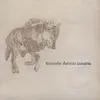 KRISTOFER ASTRÖM & HIDDEN TRUCK – loupita (LP Vinyl)