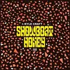 KYLE CRAFT – showboat honey (CD, LP Vinyl)