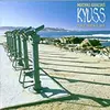 KYUSS – muchas gracias: the best of kyuss (LP Vinyl)