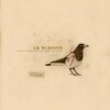 LA DISPUTE – somewhere at the bottom of the river (LP Vinyl)
