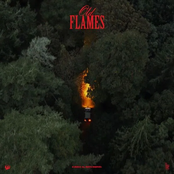 LA ROUX – old flames (CD, LP Vinyl)