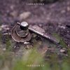 LABRADFORD – prazision (LP Vinyl)