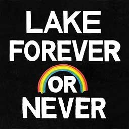 LAKE, forever or never cover