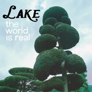 LAKE, the world is real cover