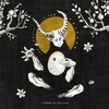 LAMBS & WOLVES – the devil in the orchard (LP Vinyl)