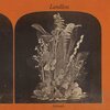 LANDLESS – lúireach (CD, LP Vinyl)