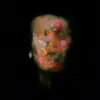 LANTERNS ON THE LAKE – versions of us (CD, LP Vinyl)