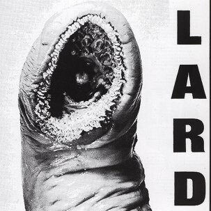 LARD – power of lard (CD, LP Vinyl)
