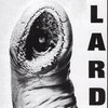 LARD – power of lard (CD, LP Vinyl)