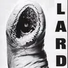 LARD – power of lard (CD, LP Vinyl)