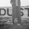 LAUREL HALO – dust (CD)