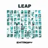 LEAP – entropy (CD, LP Vinyl)