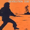 LEE `SCRATCH´ PERRY & THE UPSETTERS – revolution dub (LP Vinyl)