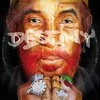 LEE `SCRATCH´ PERRY X BOB RIDDIM – destiny (LP Vinyl)