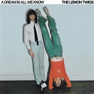 LEMON TWIGS – a dream is all we know (CD, LP Vinyl)