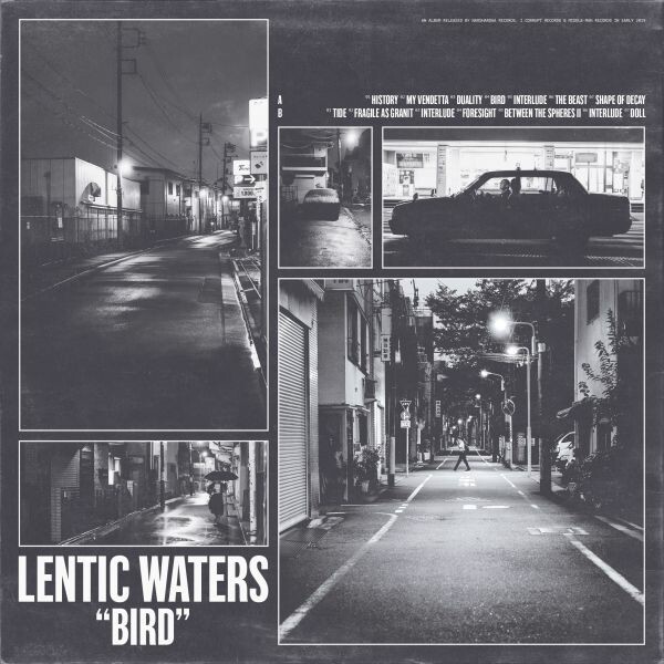 LENTIC WATERS – bird (LP Vinyl)