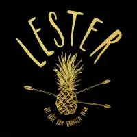LESTER – die lüge vom großen plan (LP Vinyl)