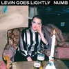 LEVIN GOES LIGHTLY – numb (CD, LP Vinyl)