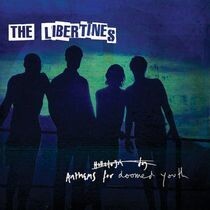 LIBERTINES – anthems for doomed youth (LP Vinyl)