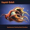 LIQUID ORBIT – spontaneous floating rock creations (CD, LP Vinyl)