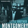 LITTLE BROTHER MONTGOMERY – worried blues (LP Vinyl)
