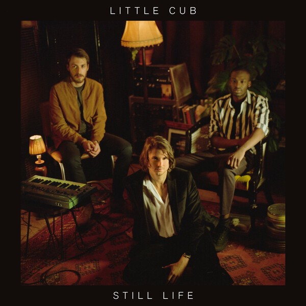 LITTLE CUB, still life cover