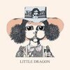 LITTLE DRAGON – s/t (LP Vinyl)