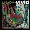 LIVING COLOUR – vivid (CD)