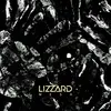 LIZZARD – mesh (CD, LP Vinyl)