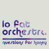 LO FAT ORCHESTRA – questions for honey (CD, LP Vinyl)