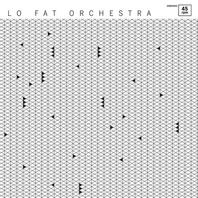 LO FAT ORCHESTRA – we need you (12" Vinyl)
