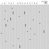 LO FAT ORCHESTRA – we need you (12" Vinyl)