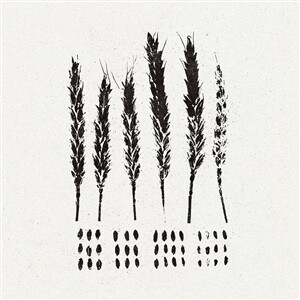 LO! – the gleaners (CD, LP Vinyl)