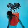 LOCAL NATIVES – sunlit youth (CD, LP Vinyl)