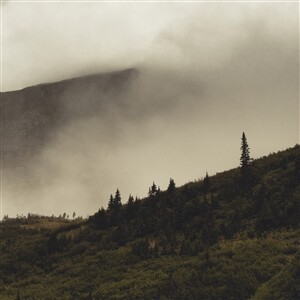 LORD BUFFALO – tohu wa bohu (CD, LP Vinyl)