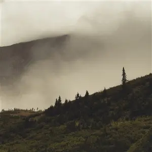 LORD BUFFALO – tohu wa bohu (CD, LP Vinyl)