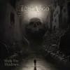 LORD VIGO – walk the shadows (CD, LP Vinyl)