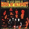 LORDS OF ALTAMONT – the wild sounds of the lords of altamont (CD)
