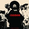 LOS CRUDOS – doble lp dskografia (LP Vinyl)