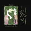 LOUSE – passions like tar (LP Vinyl)