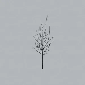 LOW – ones and sixes (CD, LP Vinyl)