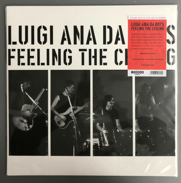 LUIGI ANA DA BOYS – feeling the ceiling (LP Vinyl)