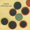 LUNGFISH – artificial horizon (LP Vinyl)